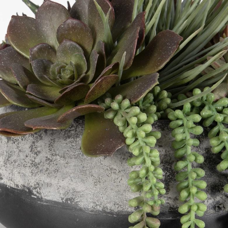Uttermost Accessories Yuma Succulent Centerpiece House of Isabella UK