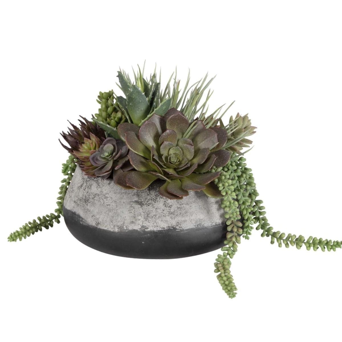 Uttermost Accessories Yuma Succulent Centerpiece House of Isabella UK