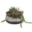 Uttermost Accessories Yuma Succulent Centerpiece House of Isabella UK