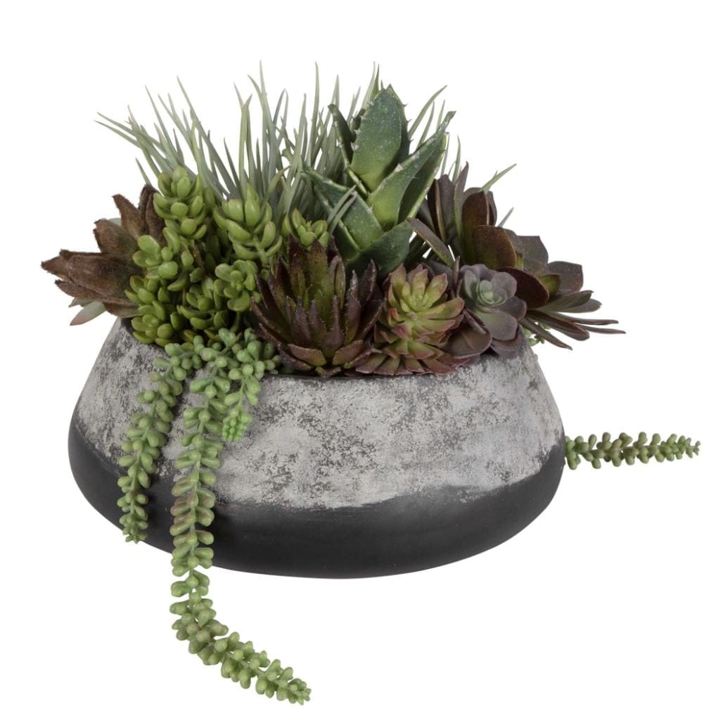 Uttermost Accessories Yuma Succulent Centerpiece House of Isabella UK