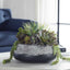 Uttermost Accessories Yuma Succulent Centerpiece House of Isabella UK