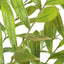 Uttermost Accessories Zamia Palm Accent In Planter House of Isabella UK