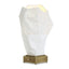 Uttermost Lighting Asteroid Accent Lamp House of Isabella UK