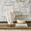 Uttermost Lighting Asteroid Accent Lamp House of Isabella UK