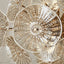 Uttermost Lighting Champagne Lily Pads 9 Light Pendant House of Isabella UK