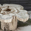 Uttermost Living Anzalone Solid Wood Coffee Table House of Isabella UK