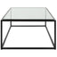 Uttermost Living Bravura Black Coffee Table House of Isabella UK