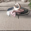 Uttermost Living Braxton Beige 183 x 274cm Rug House of Isabella UK