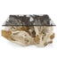 Uttermost Living Center Root Coffee Table - Rectangle House of Isabella UK