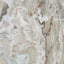 Uttermost Living Lana Scalloped Marble Drink Table House of Isabella UK