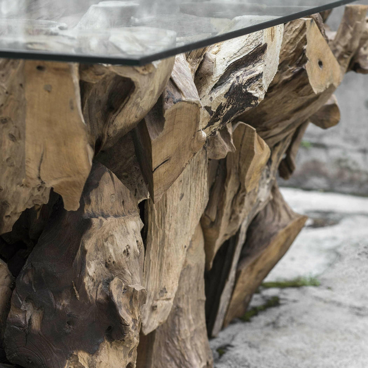 Teak Root Coffee Table.