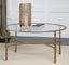Uttermost Living Vitya Glass Coffee Table House of Isabella UK