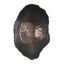 Uttermost Outdoors Obscura Bronze Outdoor Bowl House of Isabella UK