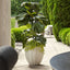Uttermost Outdoors Ridgehaven Textured Outdoor Planter House of Isabella UK