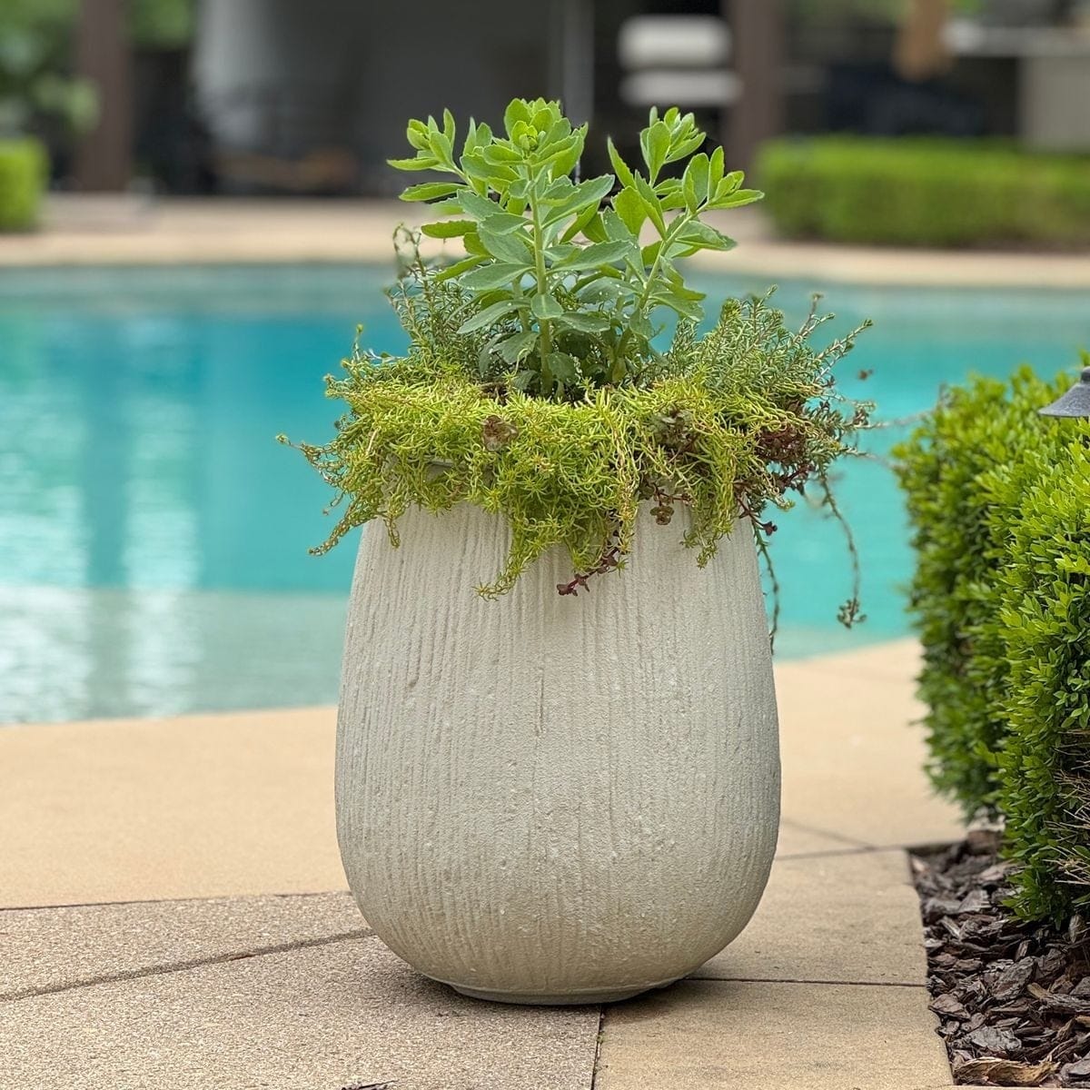 Uttermost Outdoors Rustic Ridge Off-White Outdoor Planter House of Isabella UK