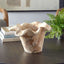 Uttermost Outdoors Teak Flow White Wash Outdoor Bowl House of Isabella UK