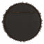 Tiger Sea Urchin Round Mirror