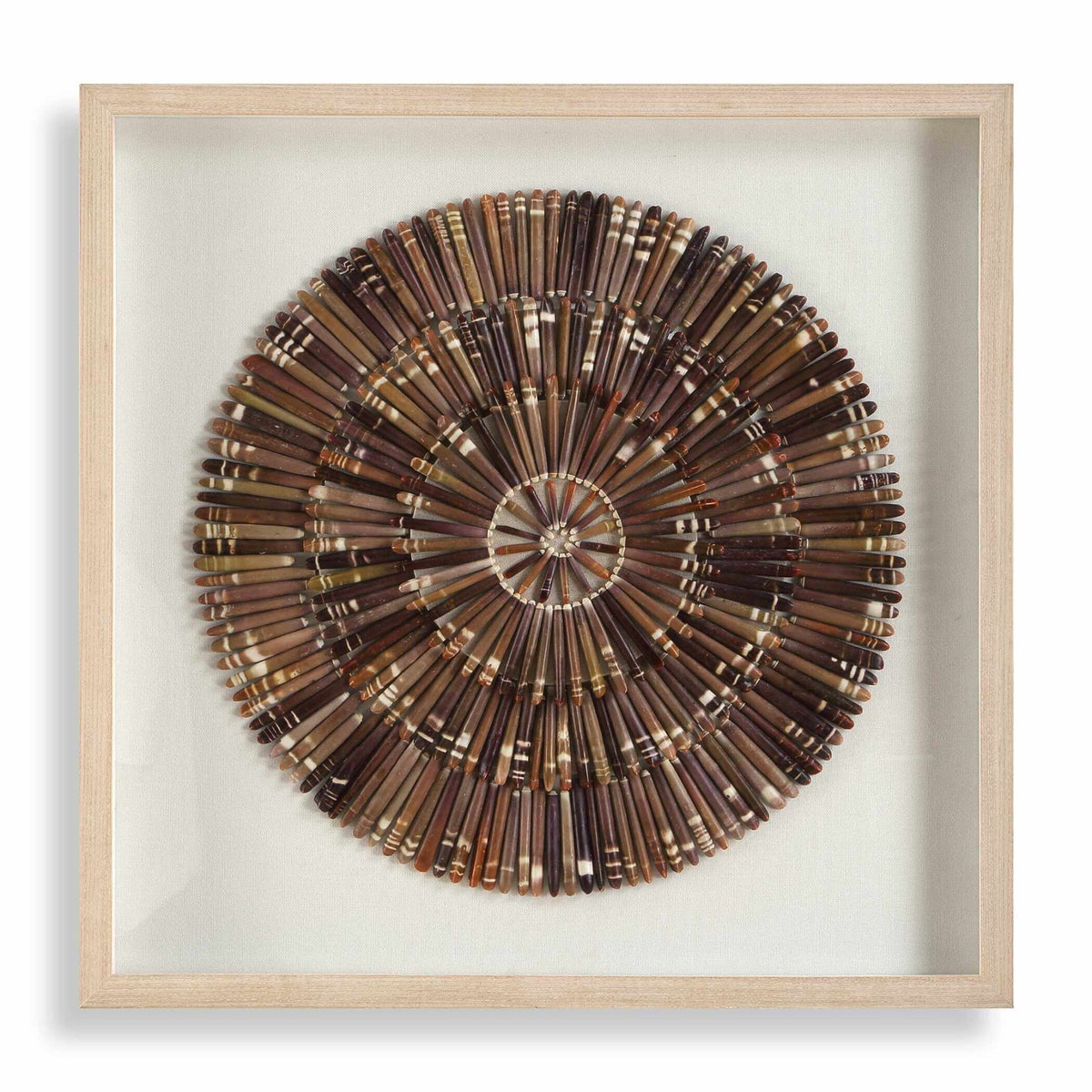 Tiger Sea Urchin Shadow Box