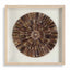 Tiger Sea Urchin Shadow Box