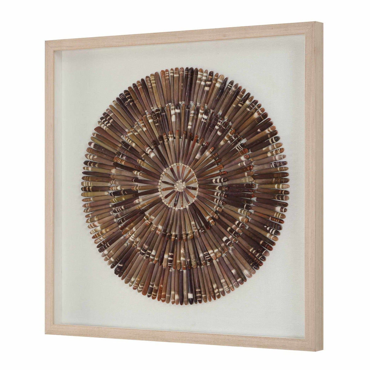 Tiger Sea Urchin Shadow Box