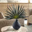 Axis Palm Accent and Vase