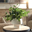 Uttermost Accessories Essence Eucalyptus Accent and Vase House of Isabella UK