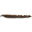 Frond Indoor-Outdoor Leaf Tray