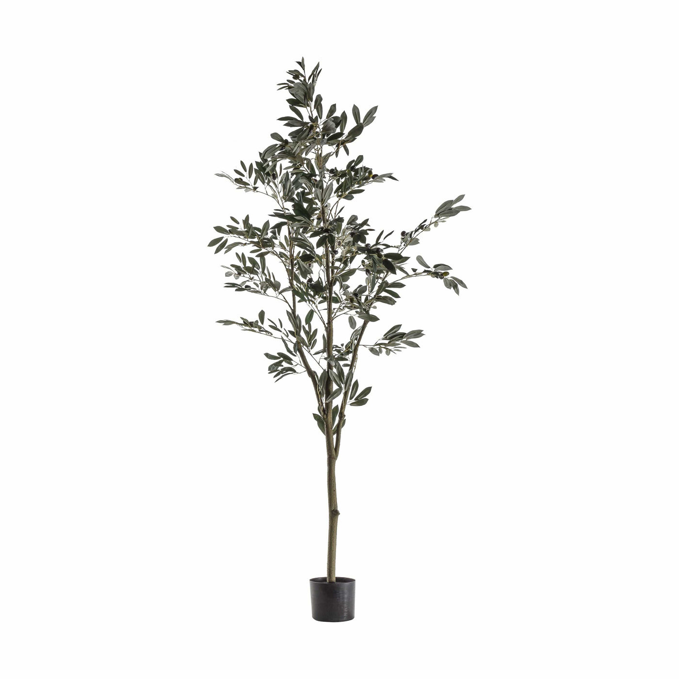 Bodhi Accessories Artificial Olive Tree Large House of Isabella UK