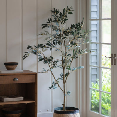 Bodhi Accessories Artificial Olive Tree Large House of Isabella UK