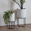 Bromyard Metal Planter Set of 2 White | OUTLET.