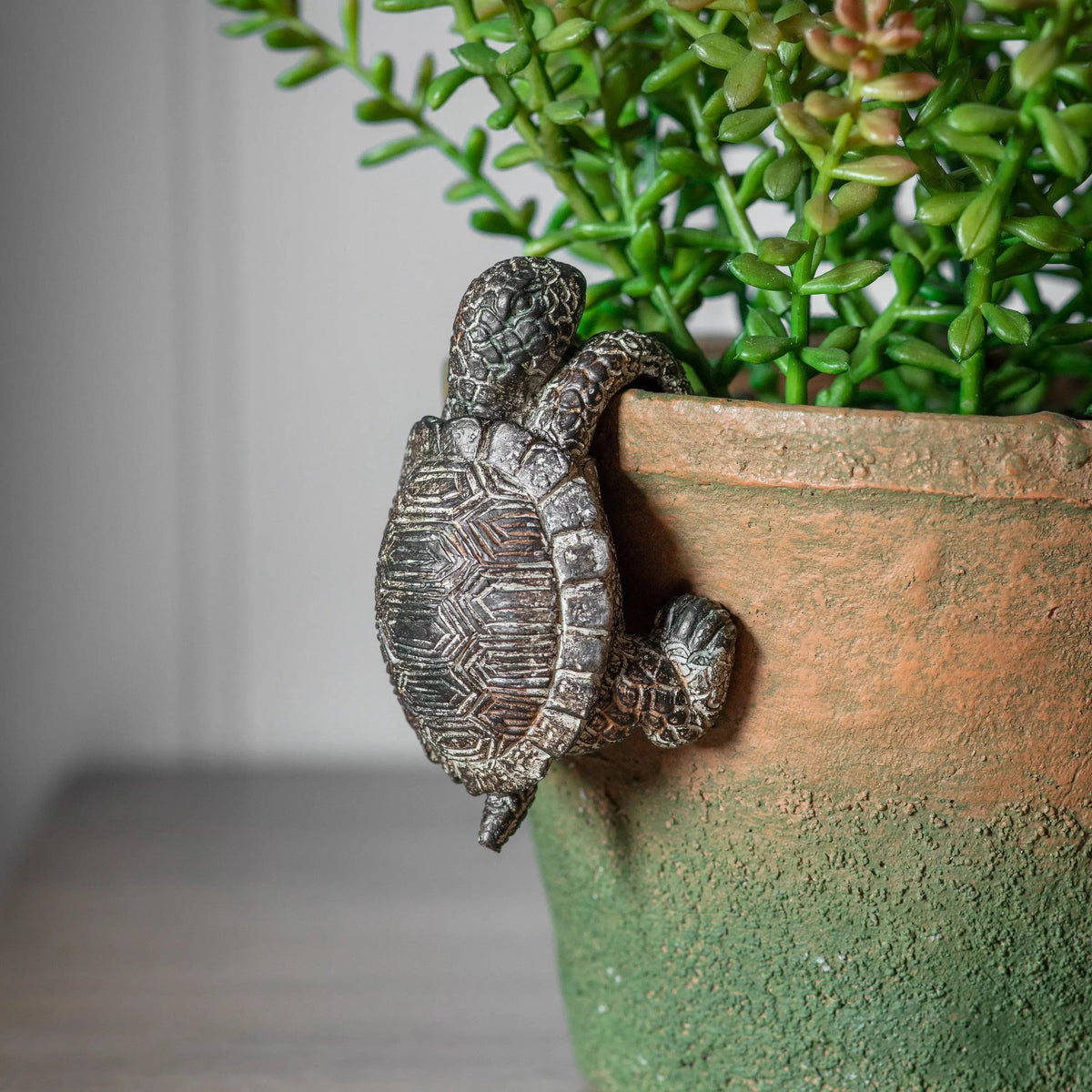 Hilton Tortoise Pot Hanger Natural (2pk).
