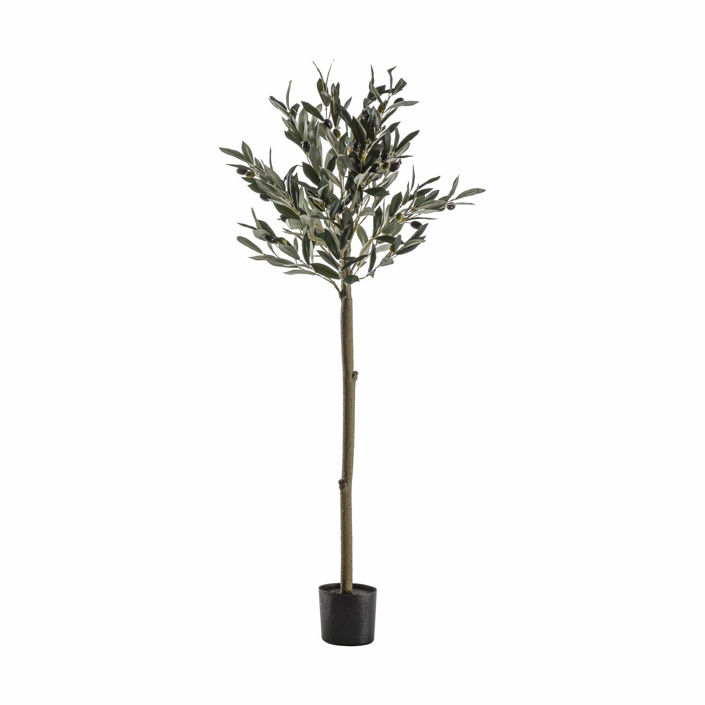 Bodhi Accessories Olive Tree Medium House of Isabella UK