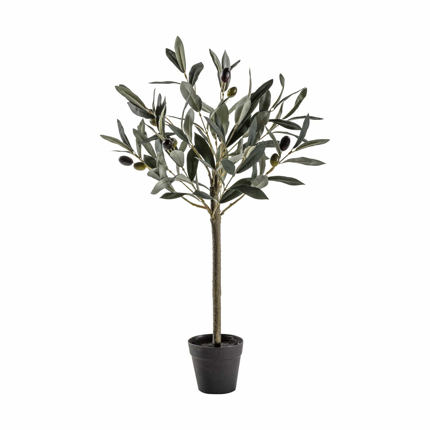 Bodhi Accessories Olive Tree Small House of Isabella UK