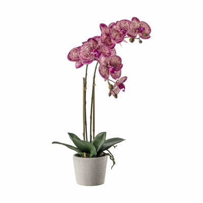 Bodhi Accessories Orchid Pink with Ceramic Pot House of Isabella UK