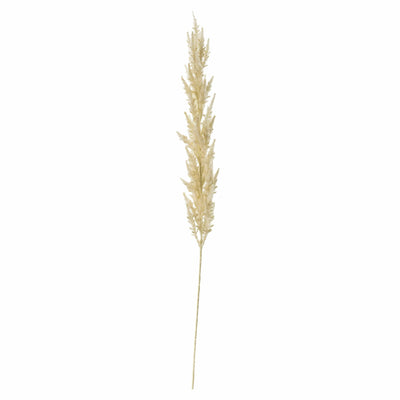 Bodhi Accessories Pampas Grass (3pk) Ivory House of Isabella UK