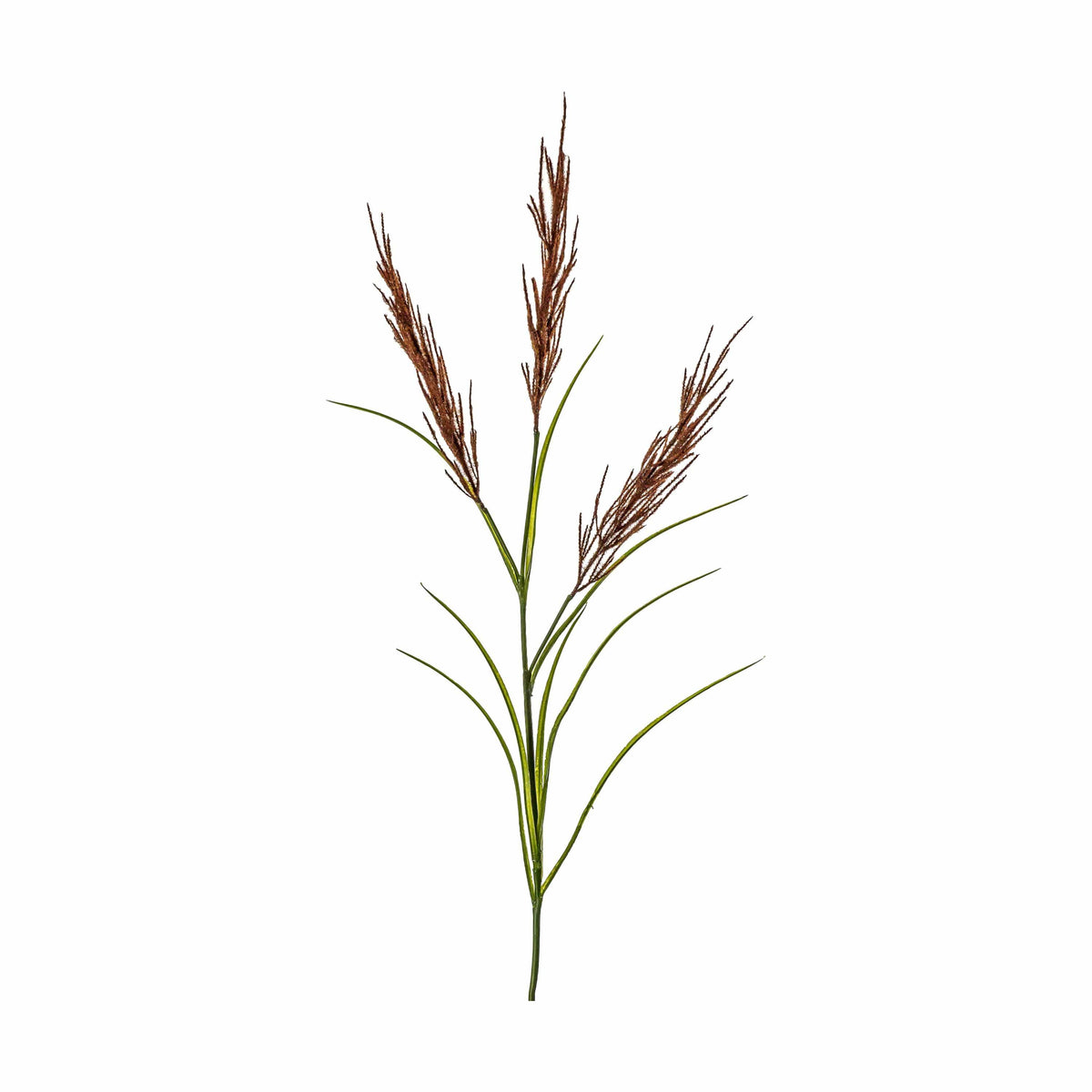 Pampas Spray Russet/Green.