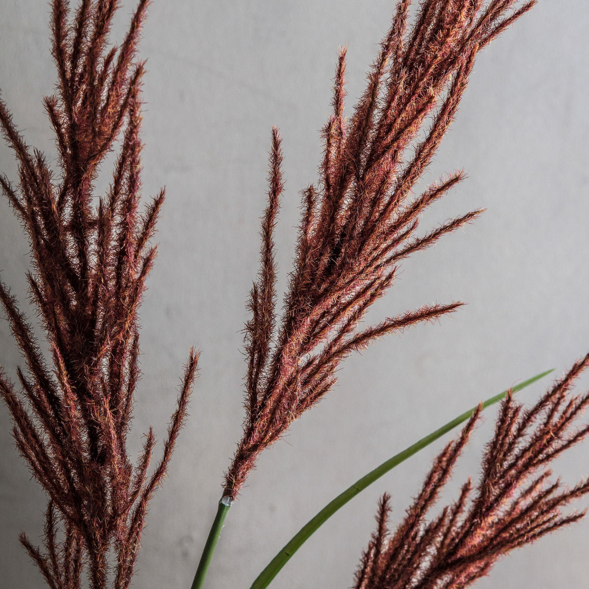 Pampas Spray Russet/Green.