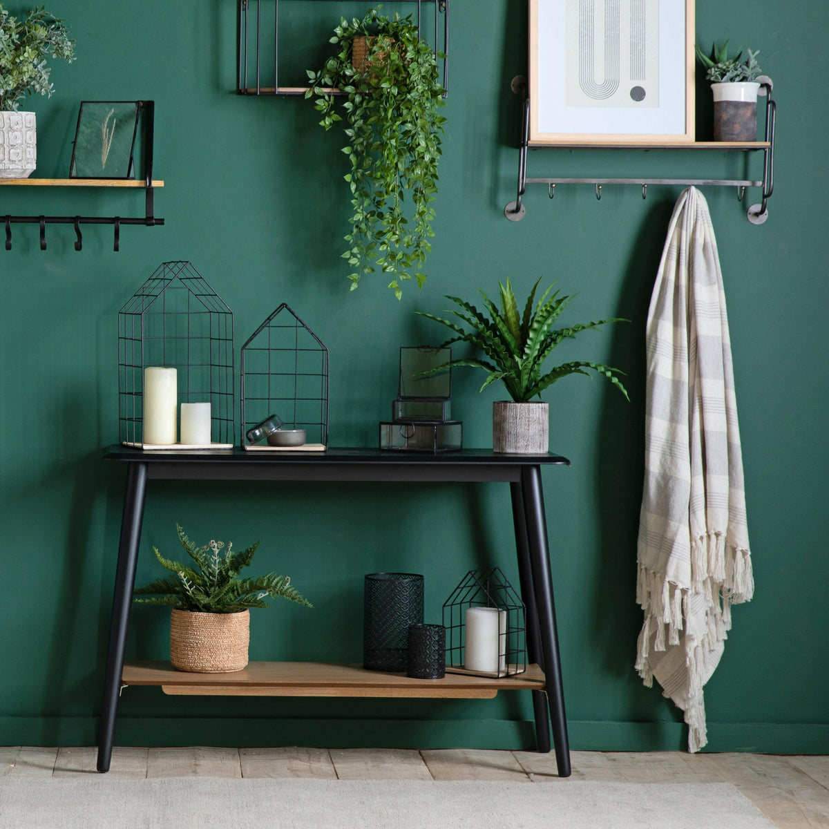 Potted Asplenium Fern.