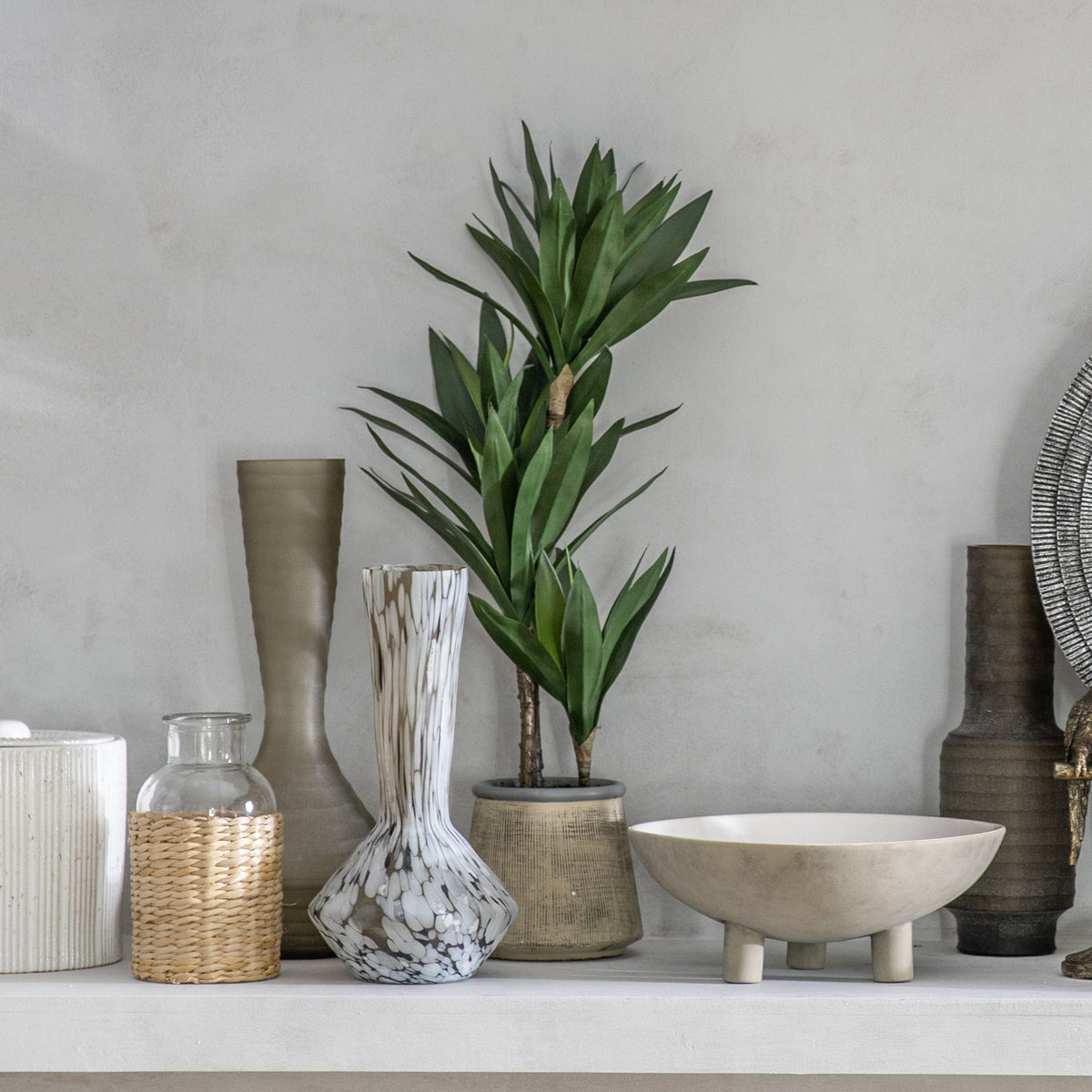 Potted Yucca Green.