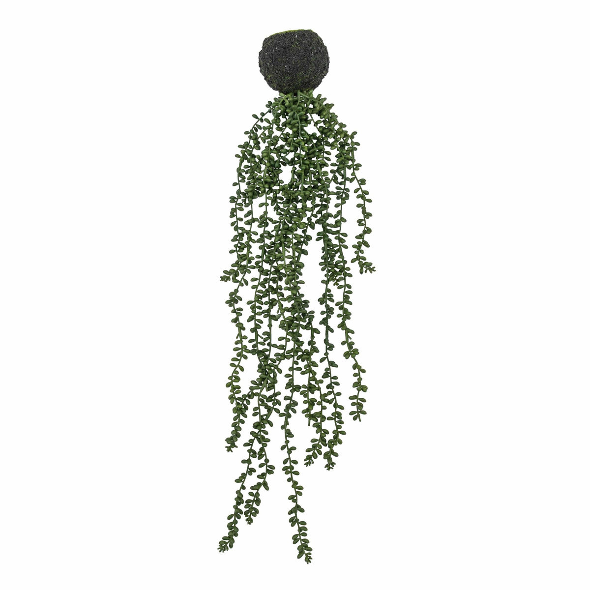 String of Pearls in Soil.