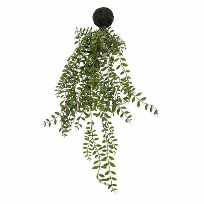 Bodhi Accessories Trailing Fern in Soil Green House of Isabella UK