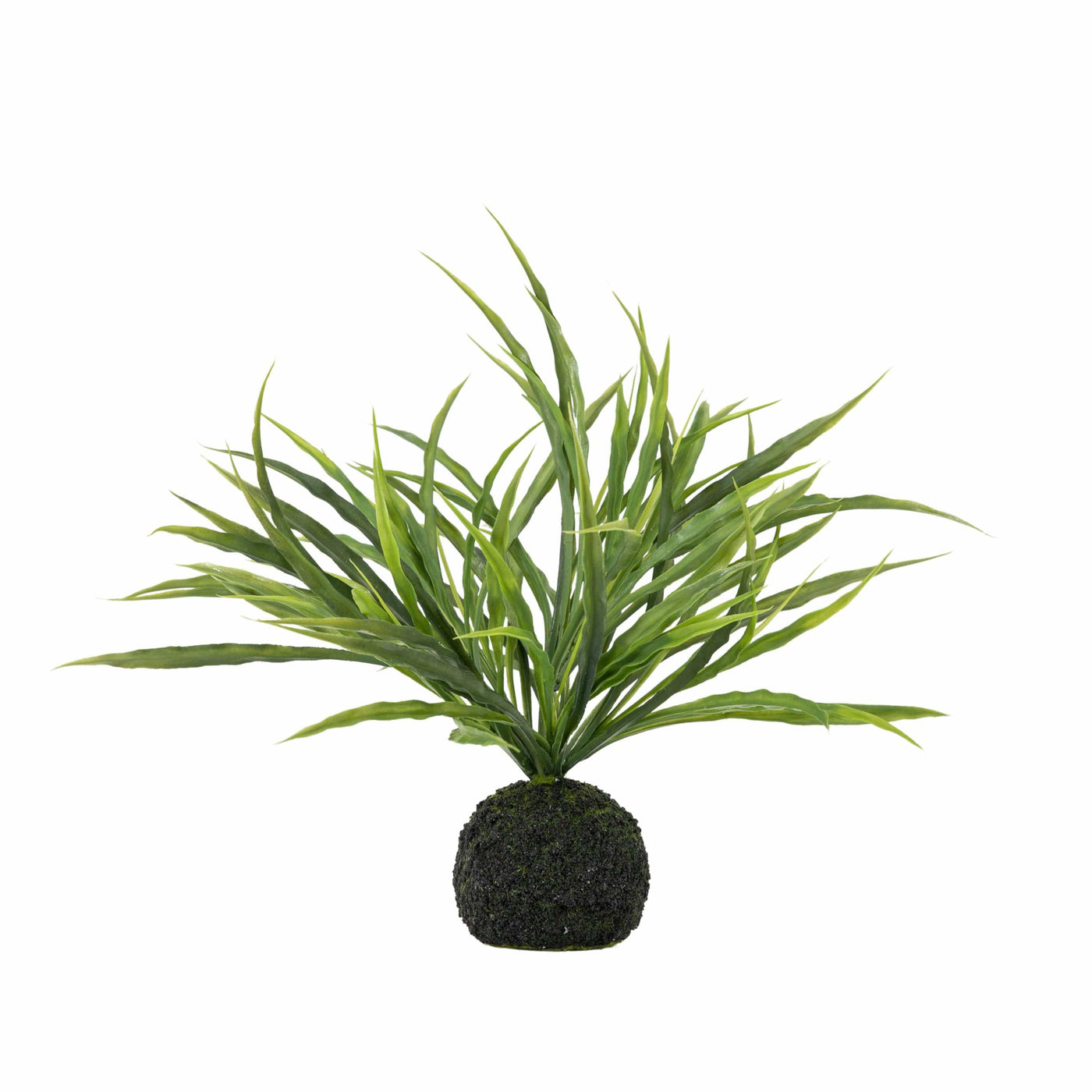 Bodhi Accessories Wild Grass in Soil Green House of Isabella UK