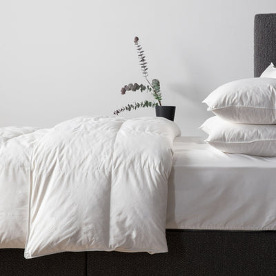 Bodhi Sleeping Grangesands Sleep White Goose Feather & Down Double Duvet House of Isabella UK