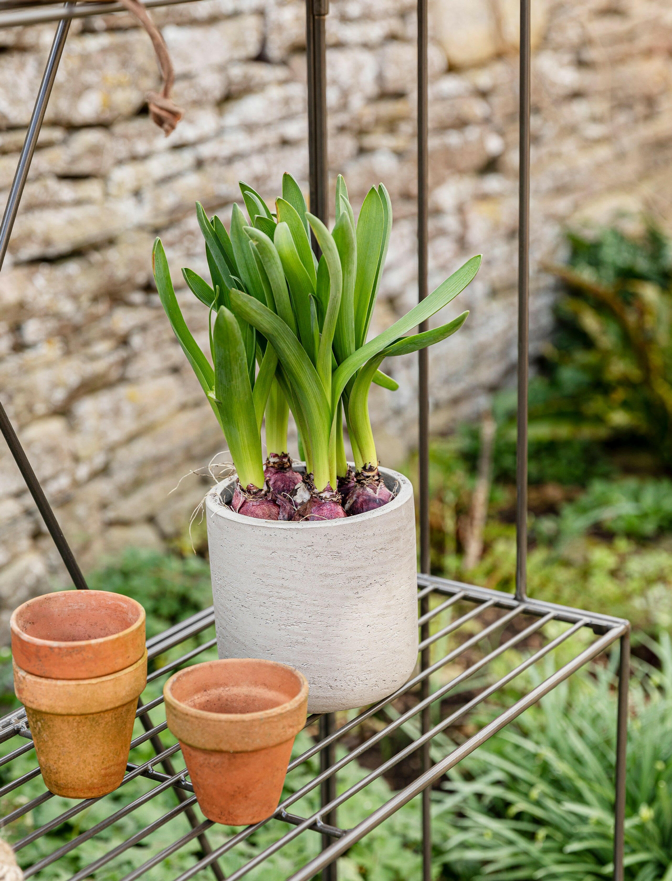house plant stands uk Ashbury Plant Stand