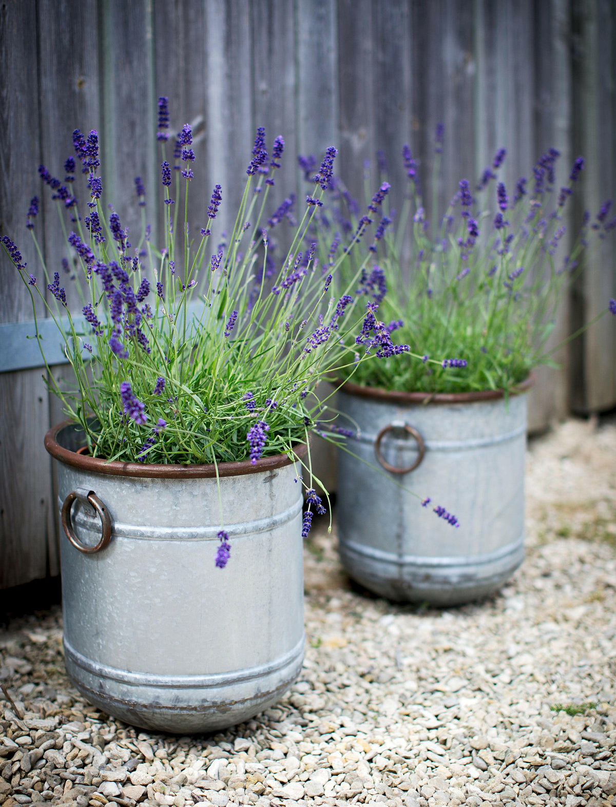 Set of 3 Malmesbury Planters.