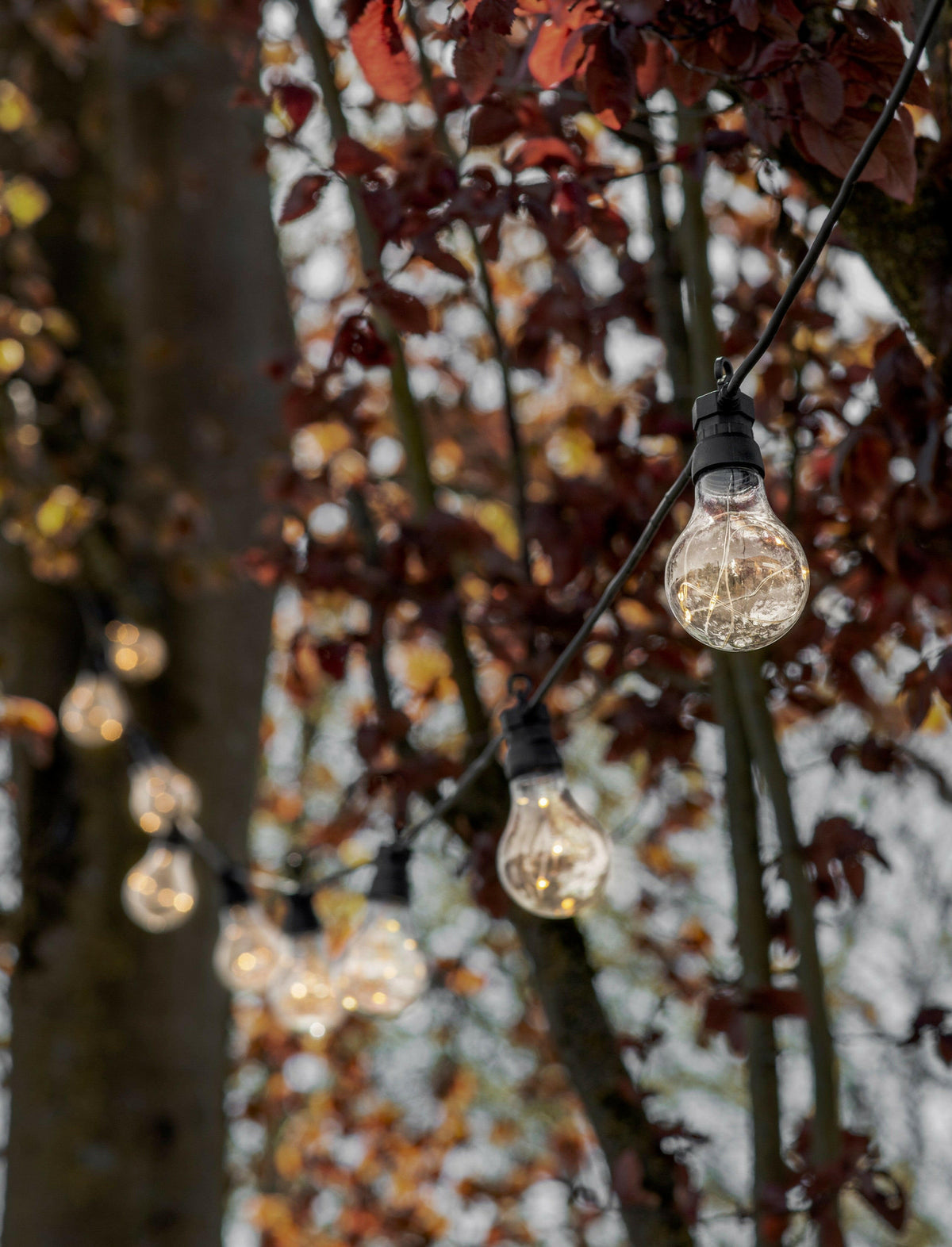 Festoon Classic Extendable Lights.