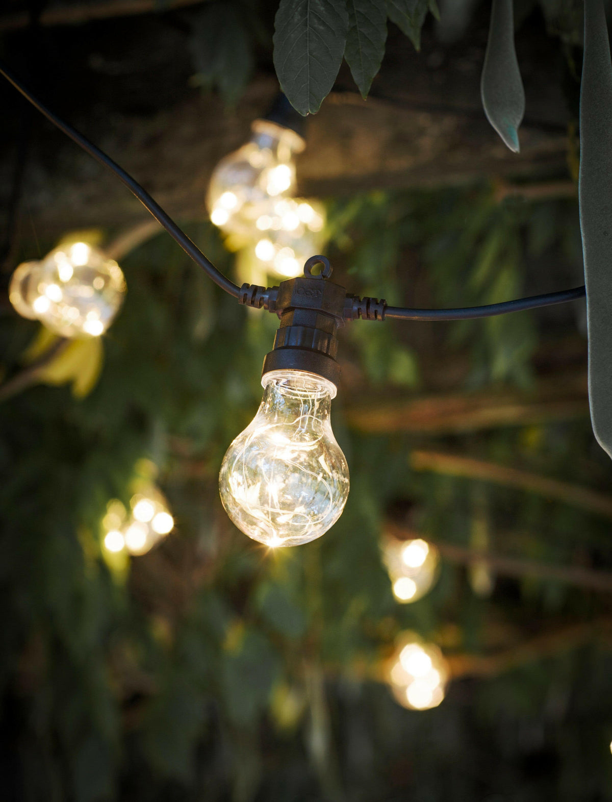 Festoon Classic Lights - Black - 20 Bulbs.