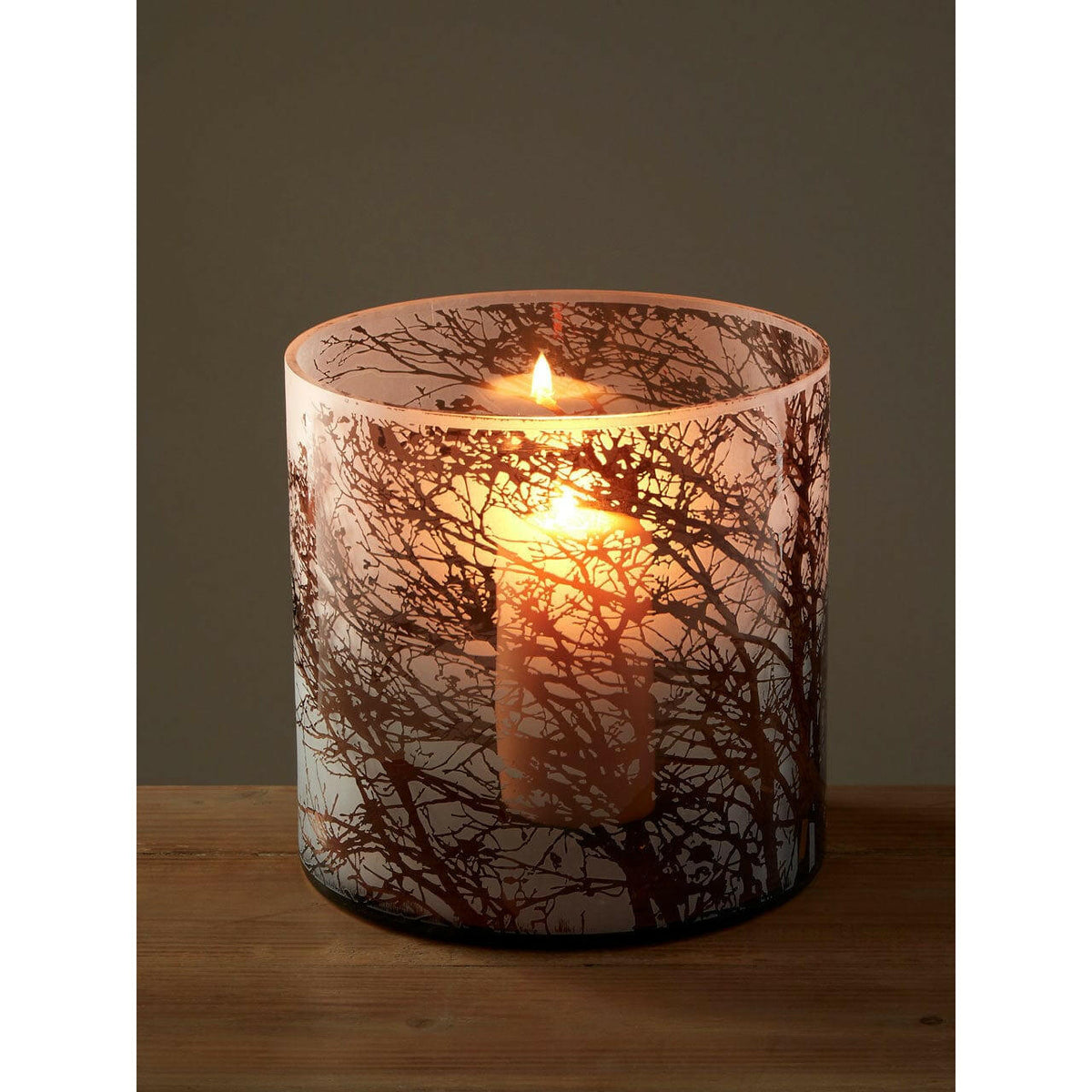 Branch Medium Glass Hurricane Candle Holder.