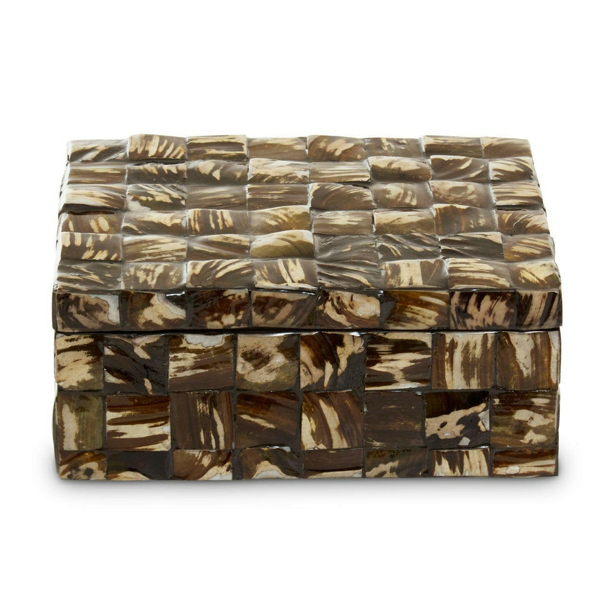 Brendan Large Natural Shell Detail Box.