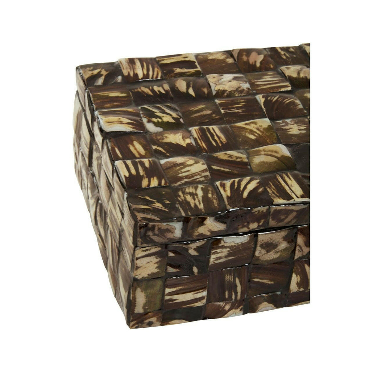 Brendan Large Natural Shell Detail Box.